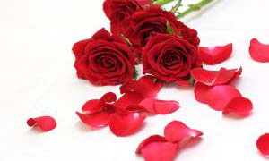 �C�V���^���̔閧�̛Z��