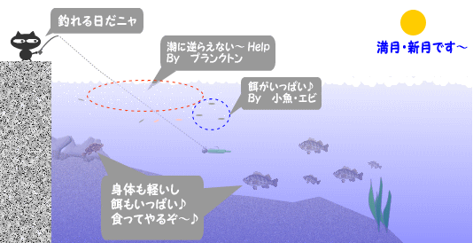 �����̃��A�[�t�B�b�V���O�A�����Ƌ��̓����̐���