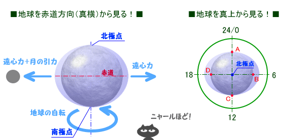 �n���̓����ƌ��̓����A�ނ��̊����̃��J�j�Y��