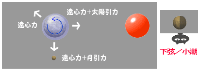 ���̓����ƒ��ʕω��A�����̐}