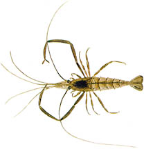 �e�i�K�G�r