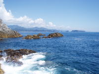 ������c������