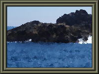 �������̌����_��