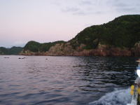 �ɂ����ł͎d�|���𒣂�