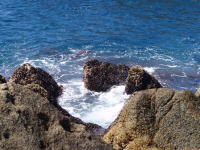 ���̓���28�x�ł����i���j�A�g�������E�E�E(^_^;)