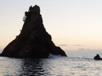 ����͒ꕨ��E�E�E�A����������čō��ł��i�΁j