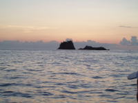 ���̑�����Ő^���_���E�E�E