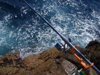 �o�i�[�̉摜(^_^)�A�ǂ�������܂����H