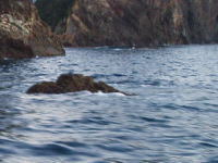 �������������Ă�����A�H�����a���Ȃ�܂����E�E�E