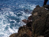 �}���ɐ��������������ꍇ�͂ǂ����邩�ƌ����ƁE�E�E