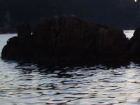 �^�J�x�̉摜�Ȃ�Ė������E�E�E��