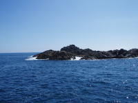 �x�^�i�M��ԁE�E�E�i�J���̎�̏W���L�́E�E�E�΁j