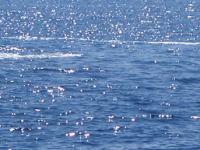 ���̒��ځE�E�E�A�����A�O�����E�E�E��