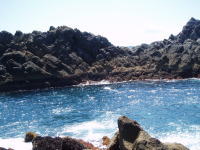 �ǂ����͒ނ�₷��