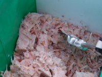 ���I�L�A�~