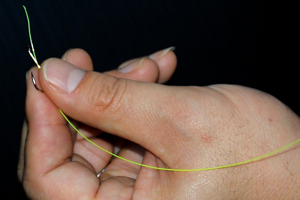 �ނ�j�̌��ѕ�