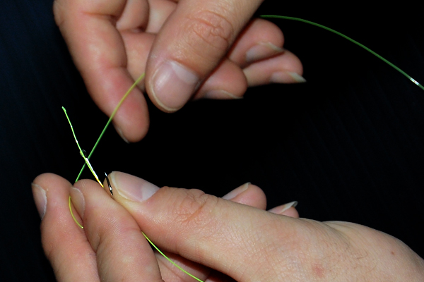 �ނ�j�̌��ѕ�