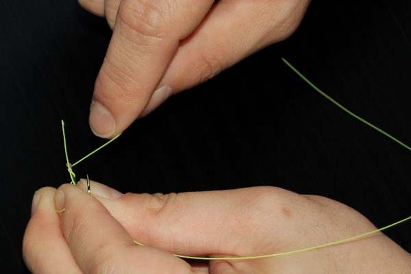 �ނ�j�̌��ѕ�