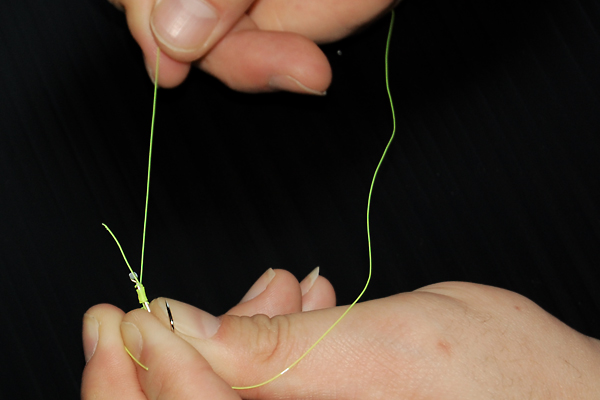 �ނ�j�̌��ѕ�